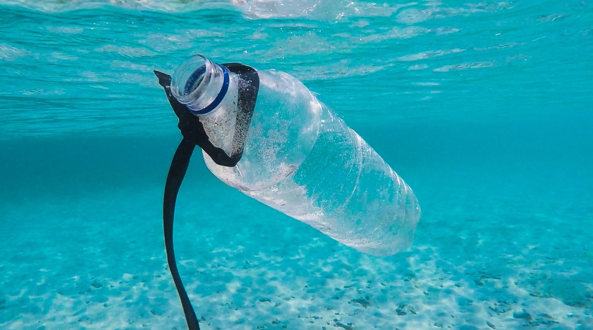 Purging the planet from plastic packaging